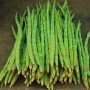 DRUMSTICK (SEHJAN OR DHOL KA CHHADEE) - 2 PCS